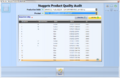 120px-ProductQualityAudit header addKey 1.png